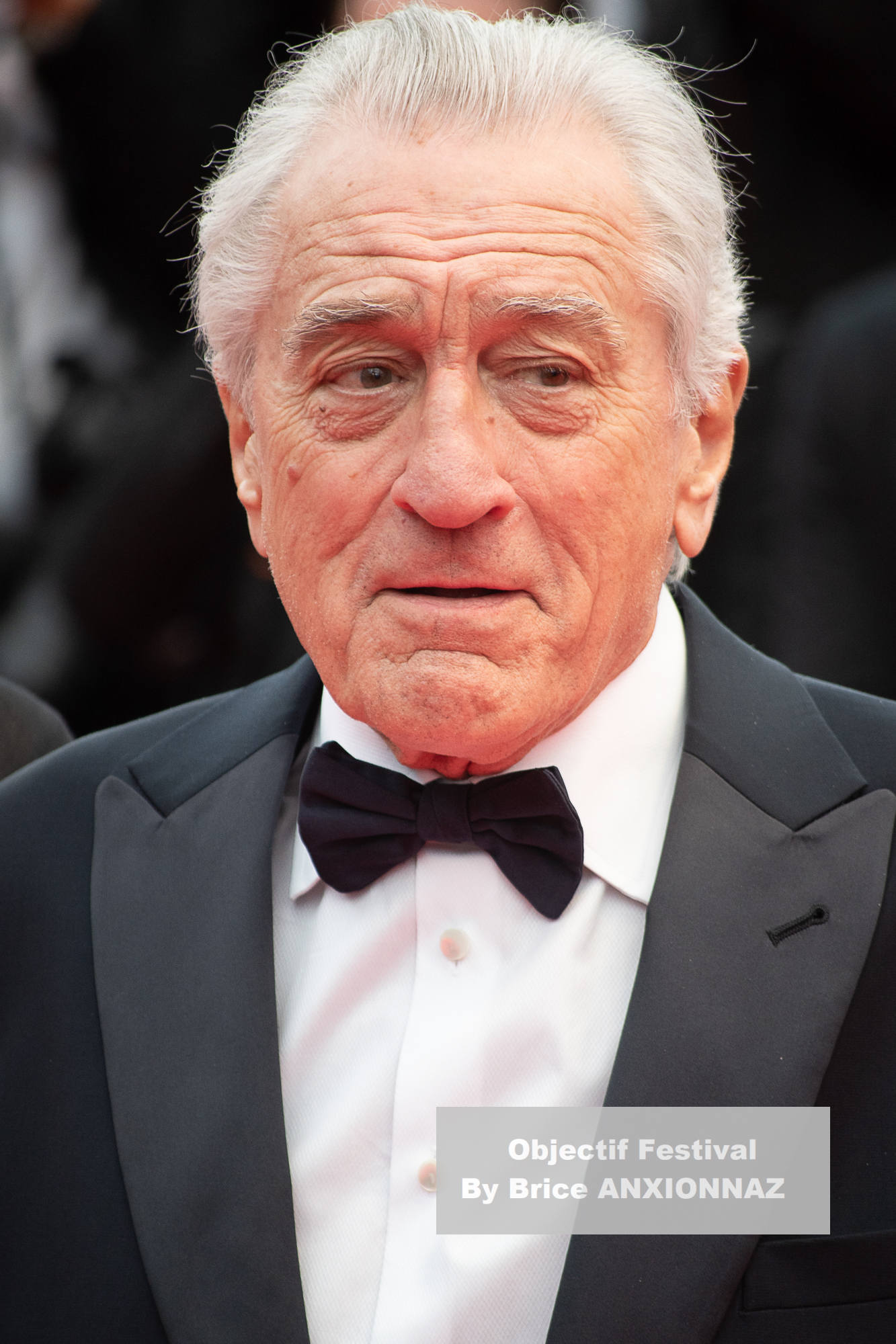 — france cannes cinema cannes international film festival 78th cannes international film festival 13 05 2025 partir un jour robert de niro